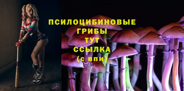 а пвп мука Надым
